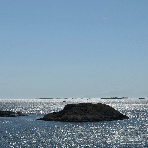 Dyrön